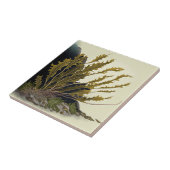 Tidal Fronds Tegeltje (Zijkant)