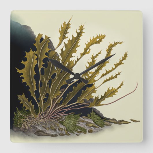 Tidal Fronds Vierkante Klok (Voorkant)