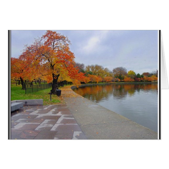 Tidal Pool Fall Colors (Voorkant Horizontaal)