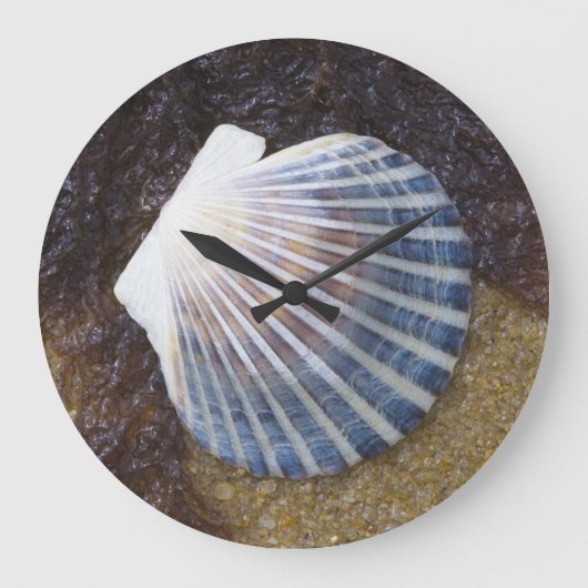 Tidal Pool Grote Klok (Voorkant)