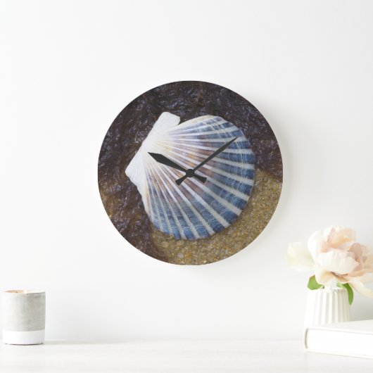 Tidal Pool Grote Klok (Huis)