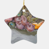 Tidal Pool, Ruby Beach, Nationaal Park van de Olym Keramisch Ornament (Voorkant)