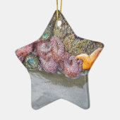 Tidal Pool, Ruby Beach, Nationaal Park van de Olym Keramisch Ornament (Links)