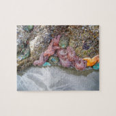 Tidal Pool, Ruby Beach, Nationaal Park van de Olym Legpuzzel (Horizontaal)