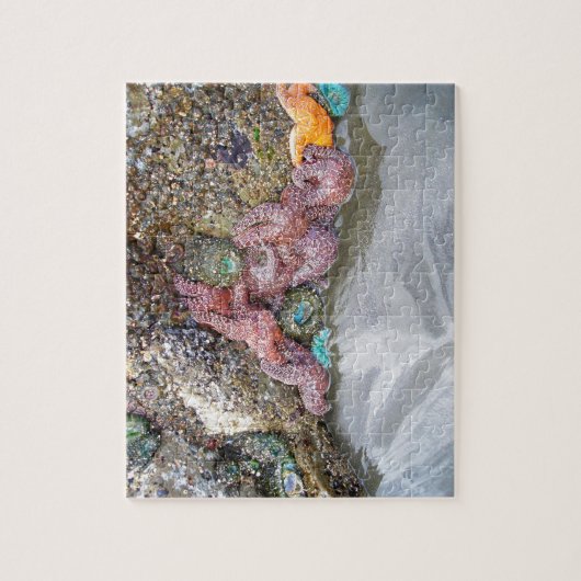 Tidal Pool, Ruby Beach, Nationaal Park van de Olym Legpuzzel (Verticaal)