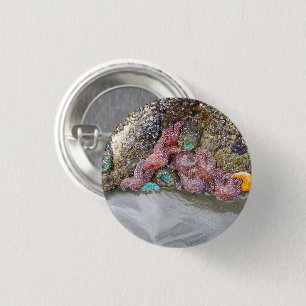 Tidal Pool, Ruby Beach, Nationaal Park van de Olym Ronde Button 3,2 Cm