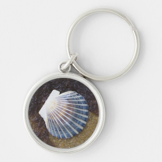 Tidal Pool Sleutelhanger (Voorkant)