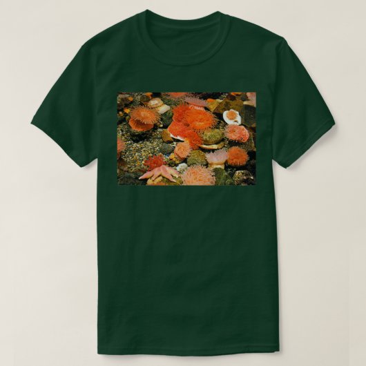 Tidal Pool T-shirt (Design voorkant)