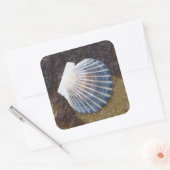 Tidal Pool Vierkante Sticker (Envelop)