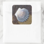 Tidal Pool Vierkante Sticker (Tas)