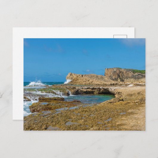 Tidal Pools en Rock Ledges van Punta Las Tunas Briefkaart (Voorkant / Achterkant)