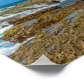 Tidal Pools en Rock Ledges van Punta Las Tunas Poster (Hoek)