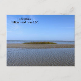 Tide Pools South Carolina Briefkaart