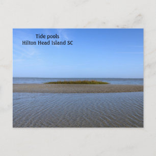 Tide Pools South Carolina Briefkaart