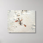 Tideline Calligraphy Canvas Afdruk (Voorkant)