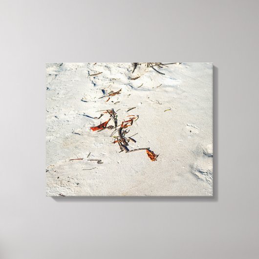 Tideline Calligraphy Canvas Afdruk (Voorkant)
