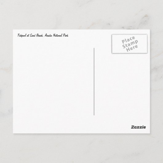 Tidepool at Sand Beach Briefkaart (Achterkant)