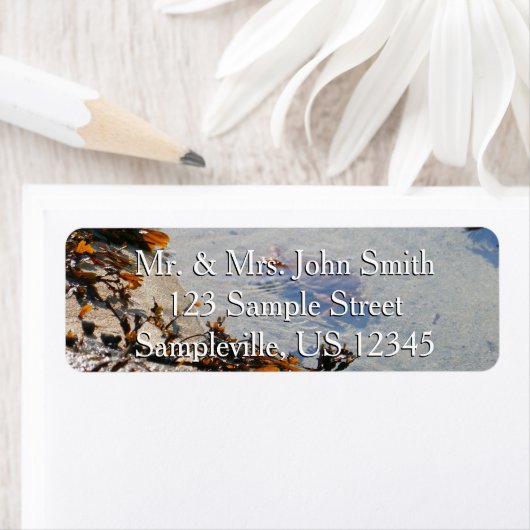 Tidepool at Sand Beach Etiket (Insitu)