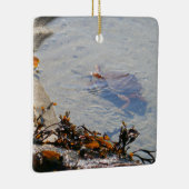 Tidepool at Sand Beach Keramisch Ornament (Rechts)