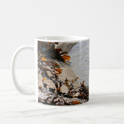 Tidepool at Sand Beach Koffiemok (Links)