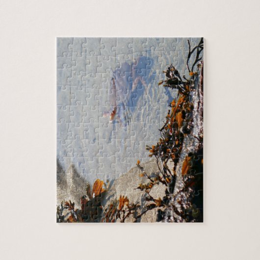 Tidepool at Sand Beach Legpuzzel (Verticaal)