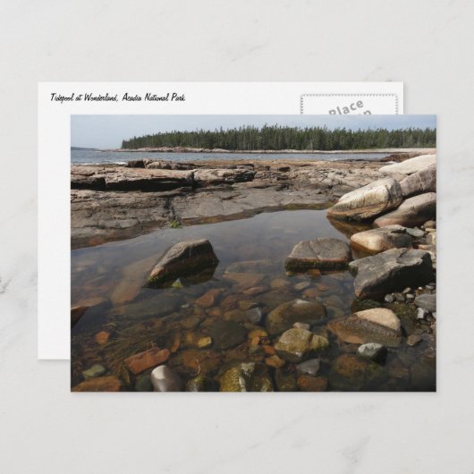 Tidepool in Wonderland in het nationaal park Acadi Briefkaart (Voorkant / Achterkant)