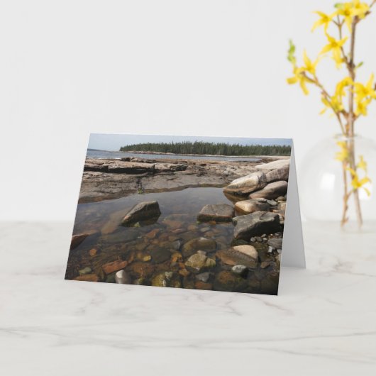 Tidepool in Wonderland in het nationaal park Acadi Kaart (Gele Bloem)