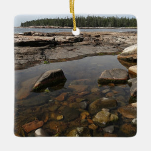 Tidepool in Wonderland in het nationaal park Acadi Keramisch Ornament
