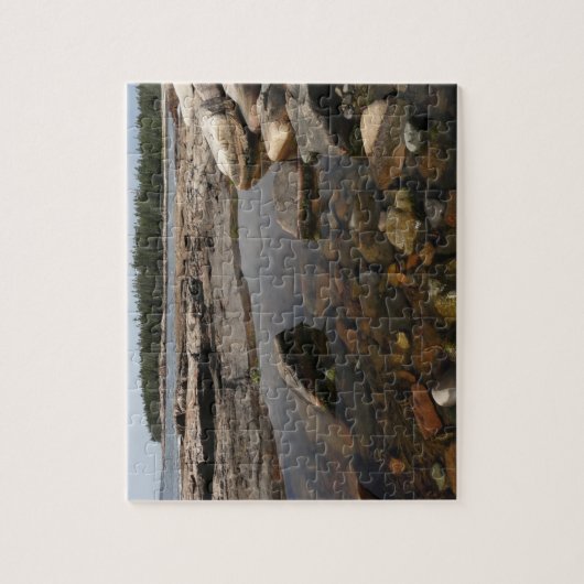 Tidepool in Wonderland in het nationaal park Acadi Legpuzzel (Verticaal)