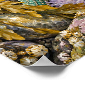 Tidepool Jewels Kunstprint Poster (Hoek)