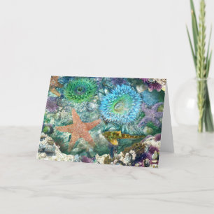 Tidepool Reflections Wenskaart Kaart