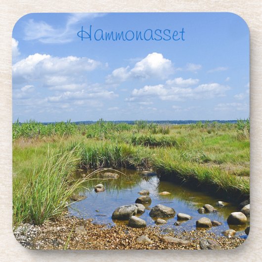 TidepoolOnderzetter Bier Onderzetter (Voorkant)