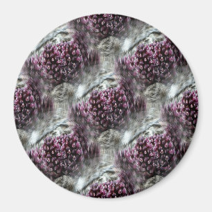 Tidepools.... Magneet