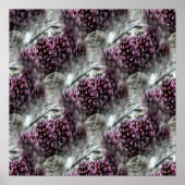 Tidepools.... Poster (Voorkant)