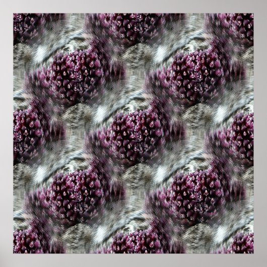 Tidepools.... Poster (Voorkant)