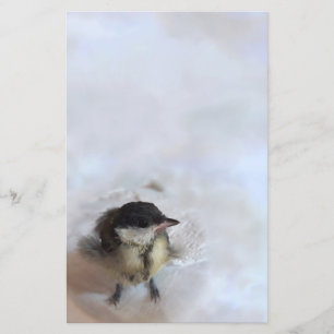 Tidi mijn vogel de Parus Major