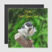 Tidi mijn vogel de Parus Major (Voorkant / Achterkant)