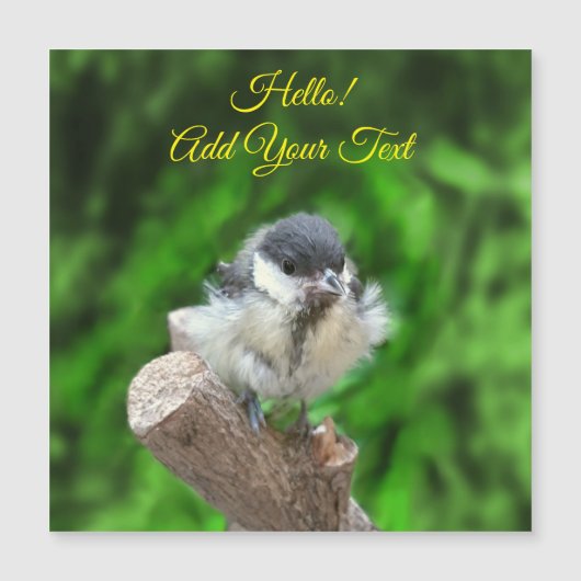 Tidi mijn vogel de Parus Major (Voorkant)