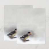 Tidi mijn vogel de Parus Major (Voorkant / Achterkant)