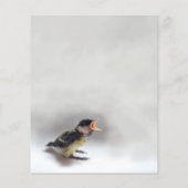 Tidi mijn vogel de Parus Major (Achterkant)