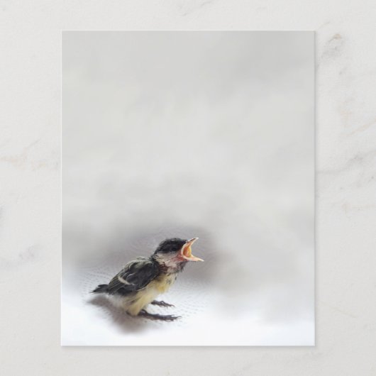 Tidi mijn vogel de Parus Major (Voorkant)