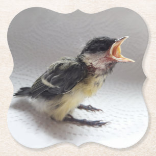Tidi mijn vogel de Parus Major (also known as "Tid Kartonnen Onderzetters