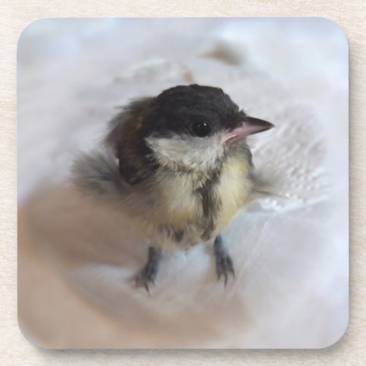 Tidi mijn vogel de Parus Major Bier Onderzetter (Voorkant)