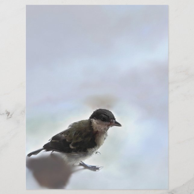 Tidi mijn vogel de Parus Major Briefhoofd (Voorkant)