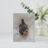 Tidi mijn vogel de Parus Major Briefkaart (Staand voorkant)