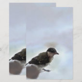Tidi mijn vogel de Parus Major Briefpapier (Voorkant / Achterkant)