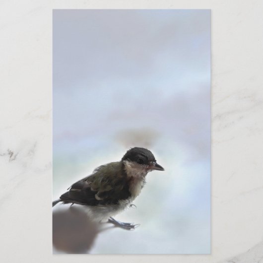 Tidi mijn vogel de Parus Major Briefpapier (Voorkant)
