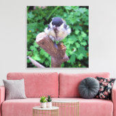 Tidi mijn vogel de Parus Major Canvas Afdruk (Insitu (Woonkamer))
