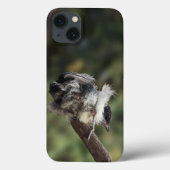 Tidi mijn vogel de Parus Major Case-Mate iPhone Case (Achterkant)