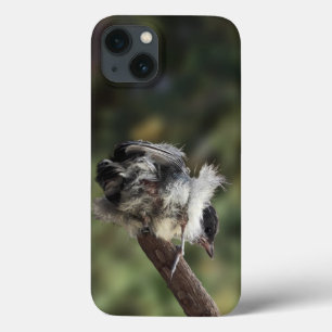 Tidi mijn vogel de Parus Major Case-Mate iPhone Case